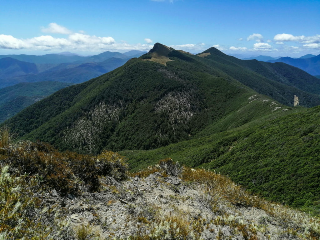 Blick von Mt Starveall