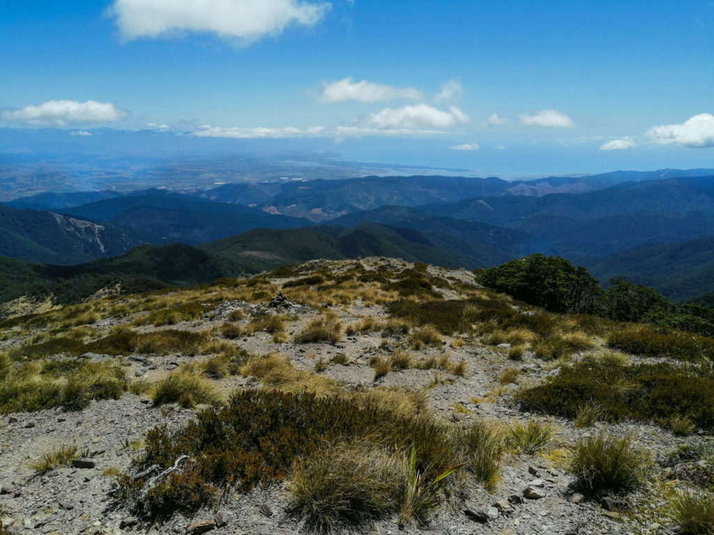 Blick von Mt Starveall