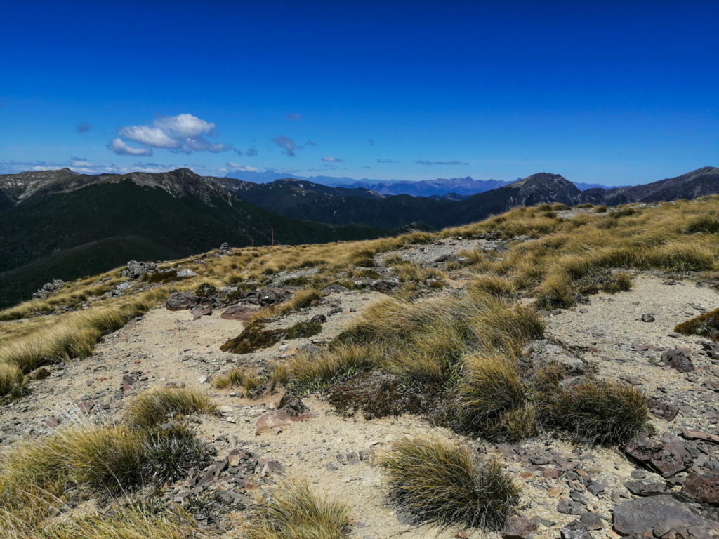 Blick von Mt Starveall