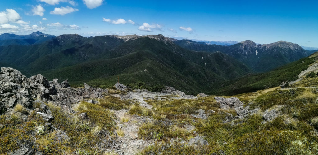 Blick von Mt Starveall