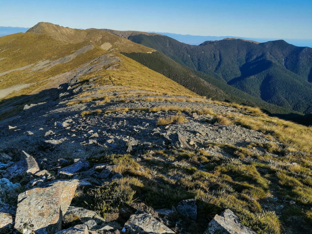 Aufstieg zum Mt Rintoul