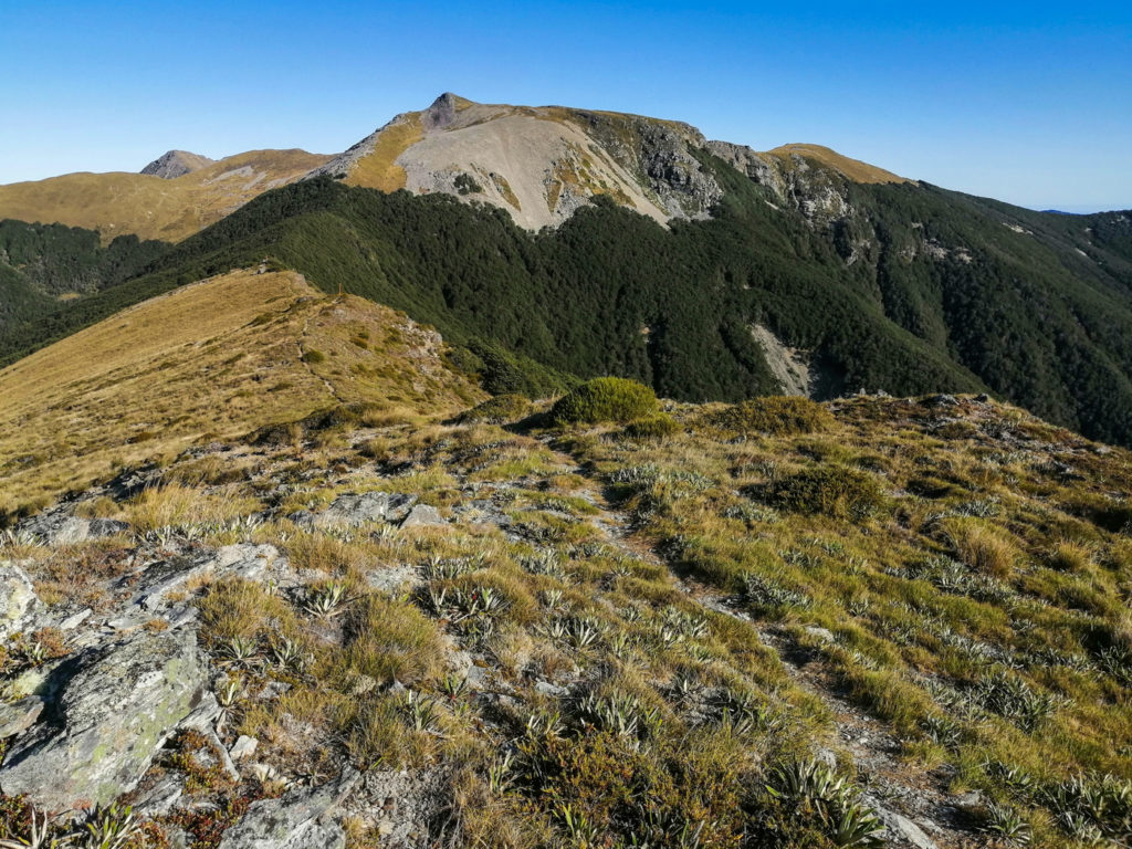 Blick vom Little Rintoul