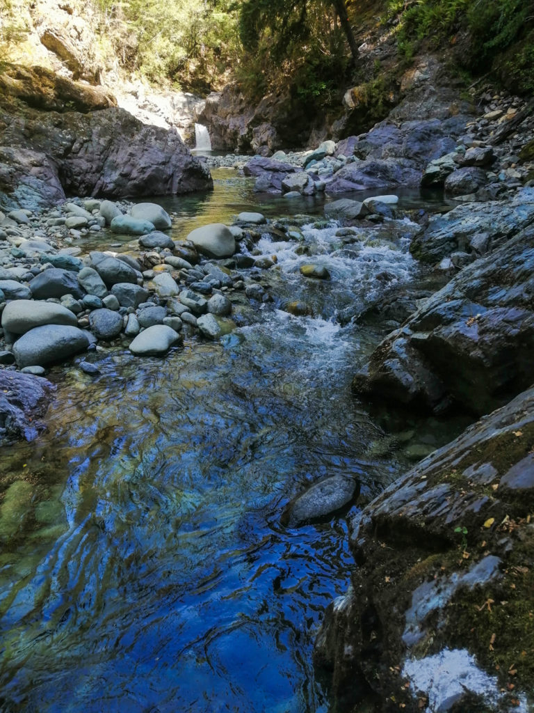 Wasserfall auf dem Weg zur Top Wairoa Hut
