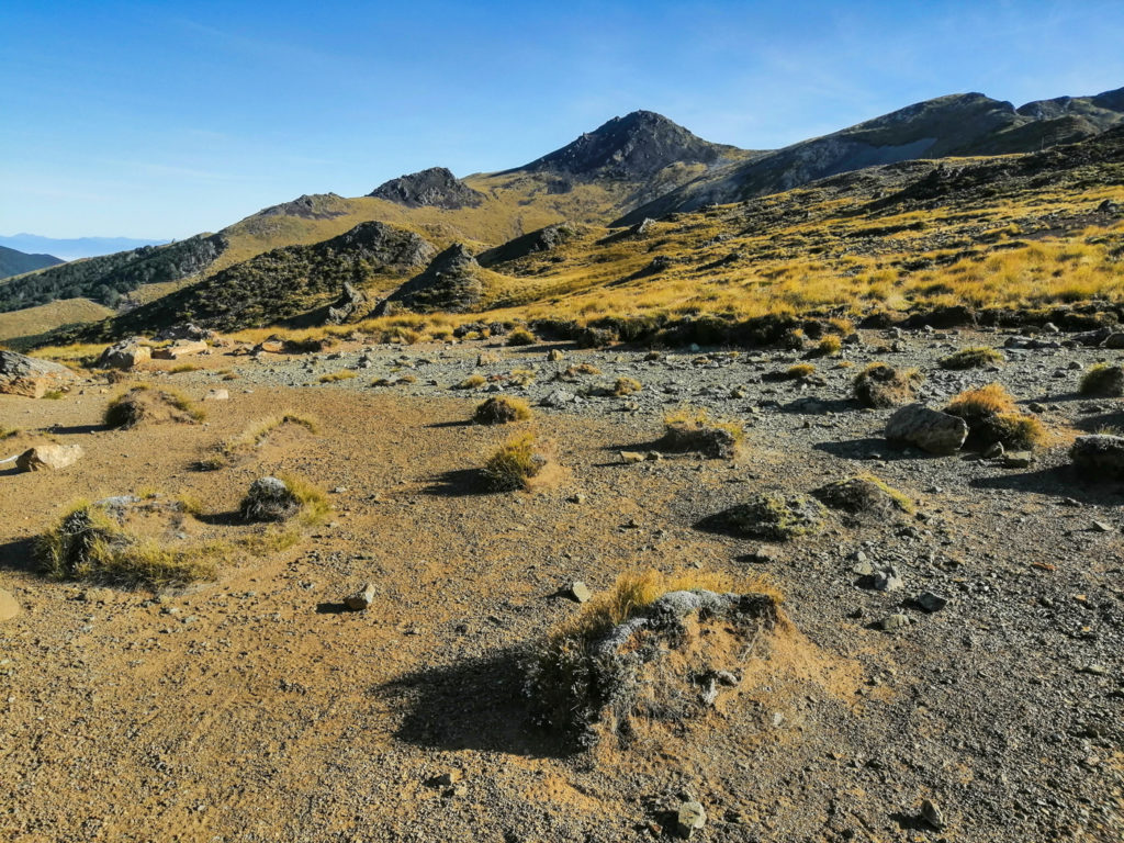 Mt Ellis