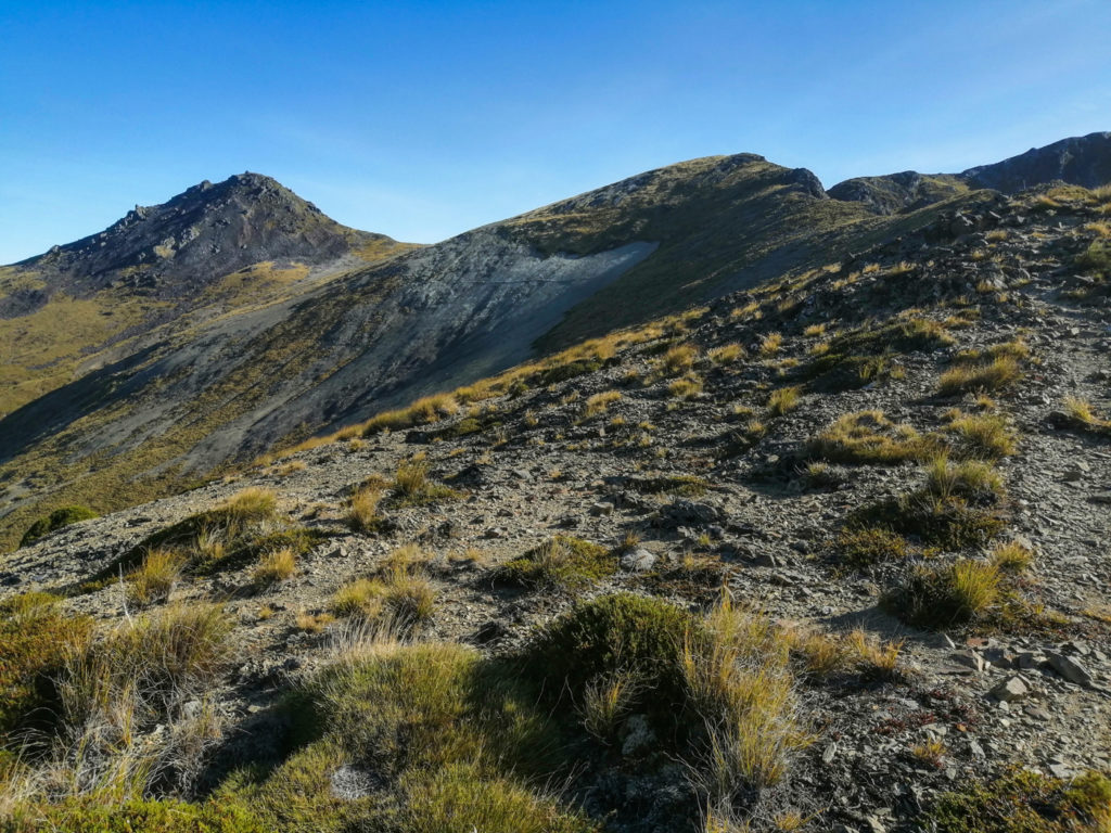Mt Ellis