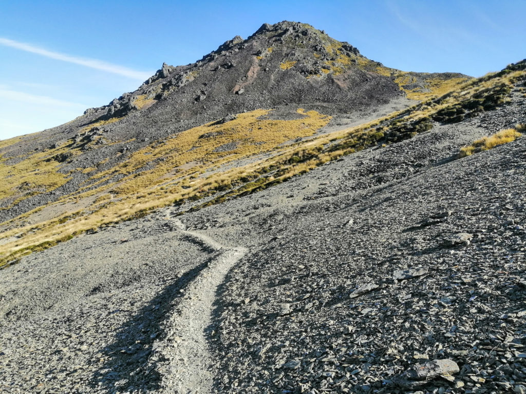 Mt Ellis