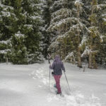 Schneeschuhwanderung im Pillerseetal