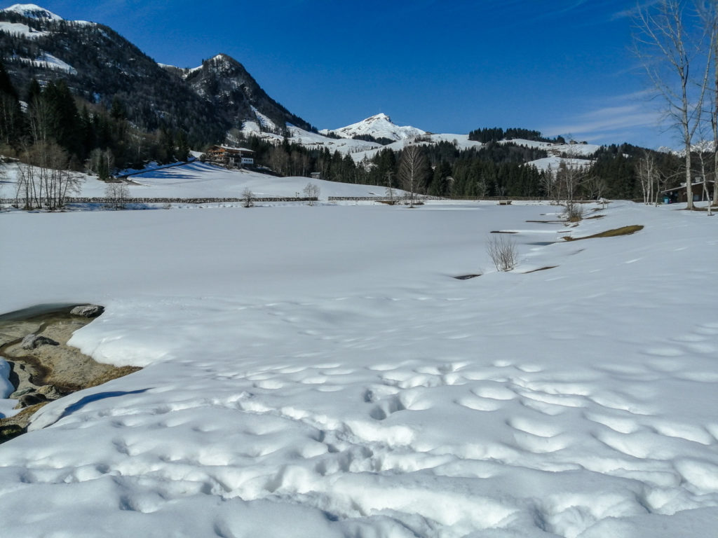 Verschneiter Lauchsee