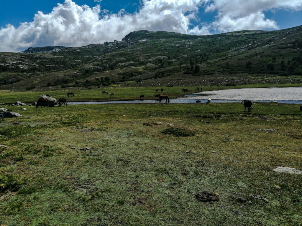 Am Lac de Nino