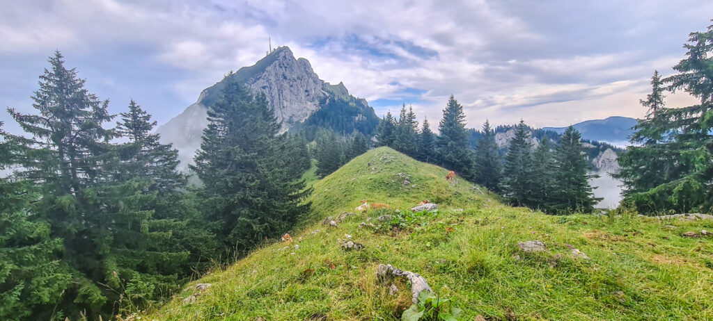 Blick zum Wendelstein