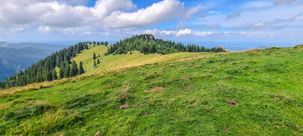 Wiesenbuckel auf dem Weg zur Nagelspitz, hinten rechts sieht man den Gipfelfelsen