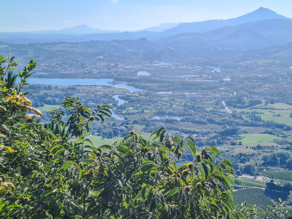 Rio Bedasoa von oben