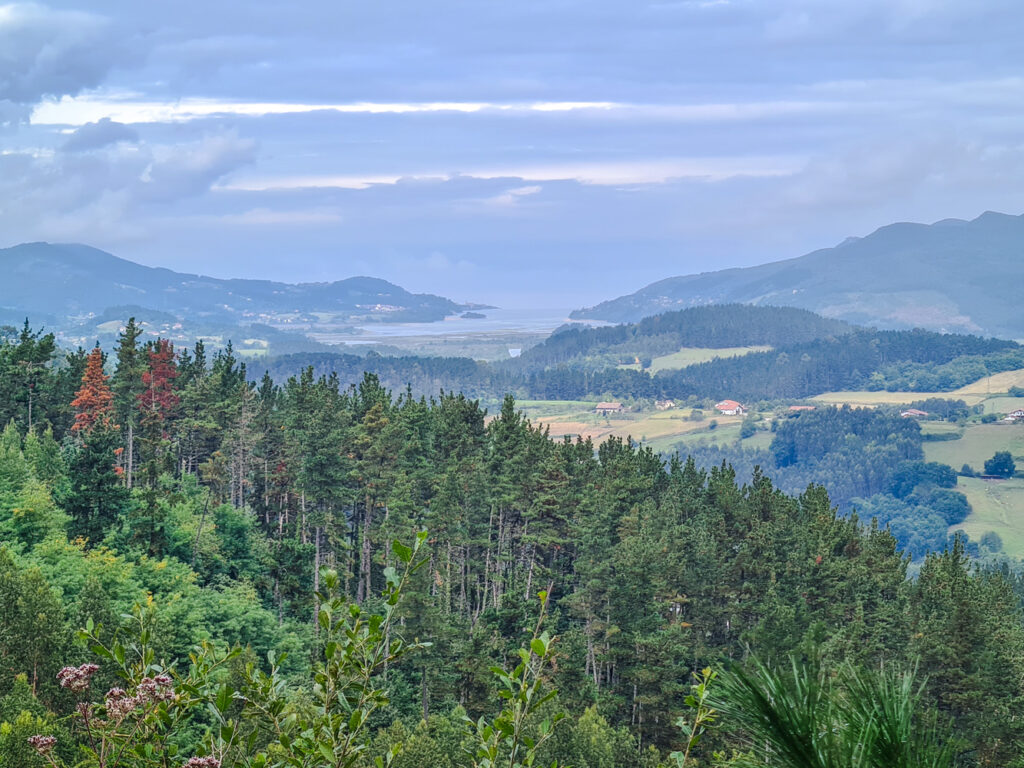 Aussicht auf grüne Hügel