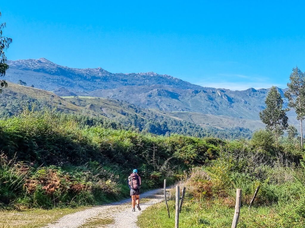 Picos de Europa