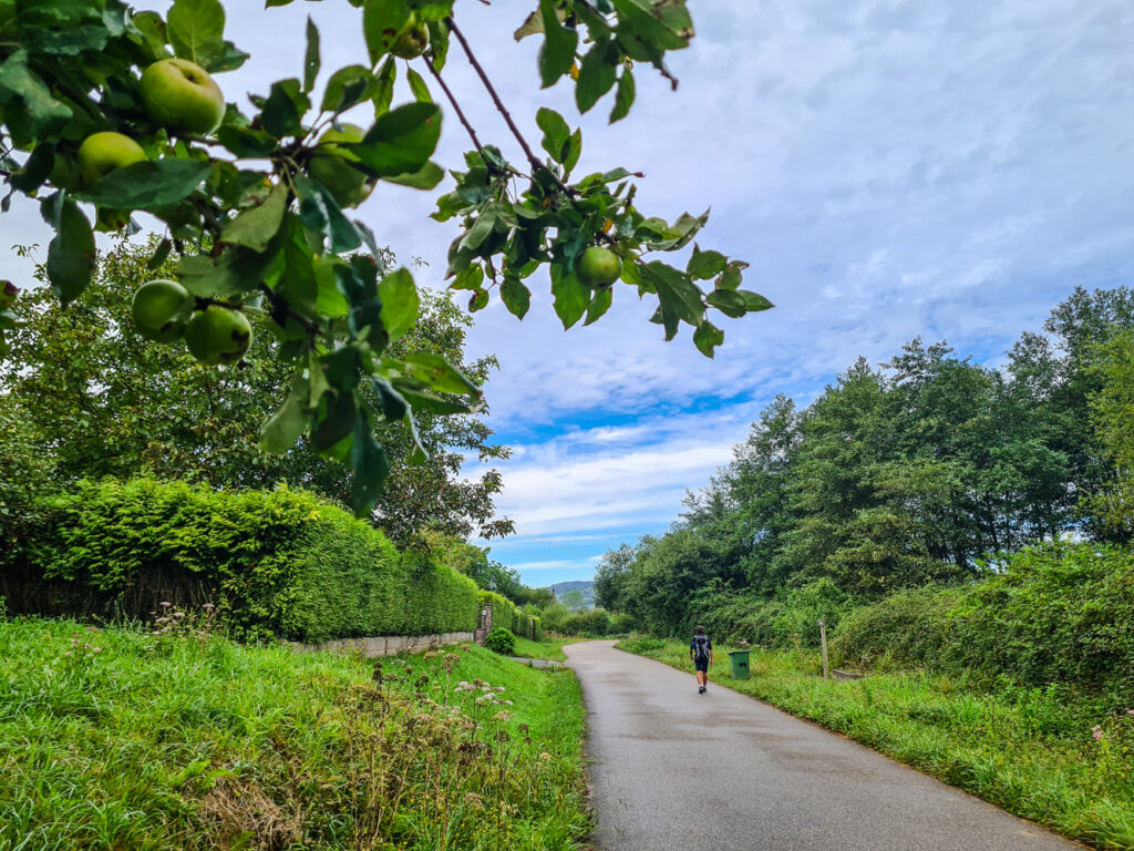 Auf Straßen nach Villaviciosa