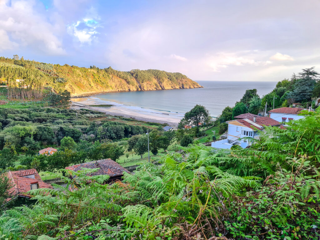 Playa Concha de Artedo