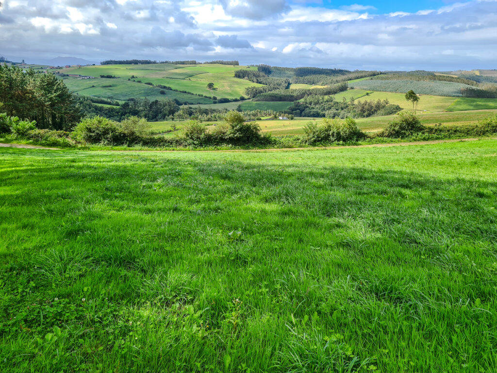 Grüne Hügellandschaft