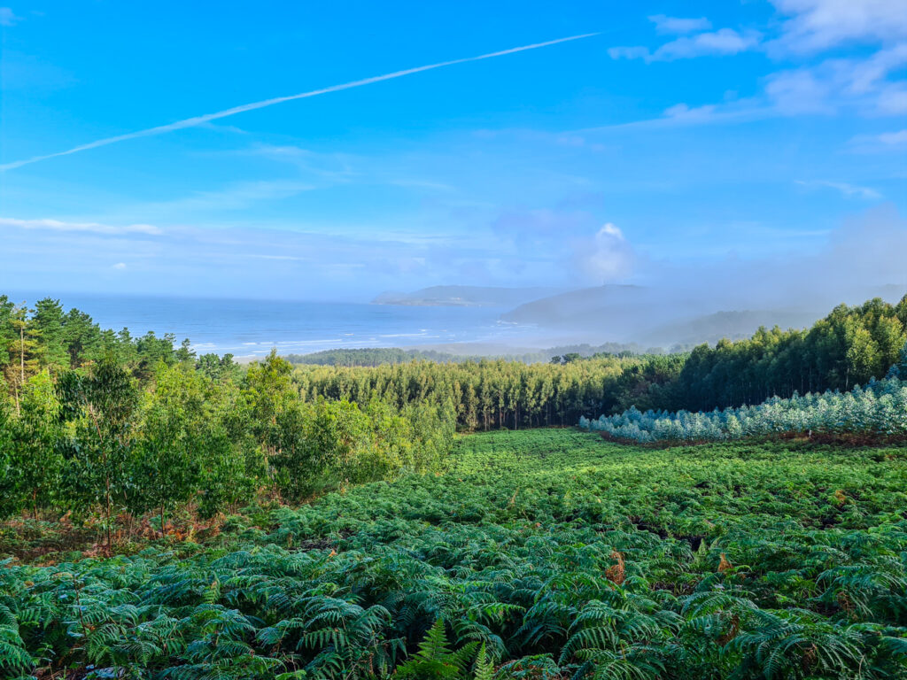 Weg von Finisterre nach Muxia