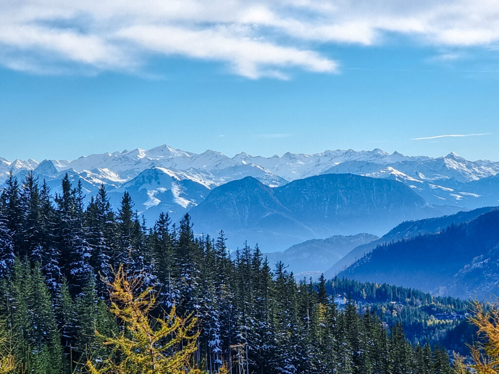 Aussicht vom Rehleitenkopf