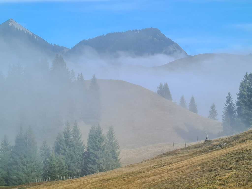 Der Nebel lichtet sich