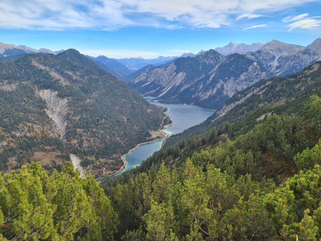 Blick auf den Plansee