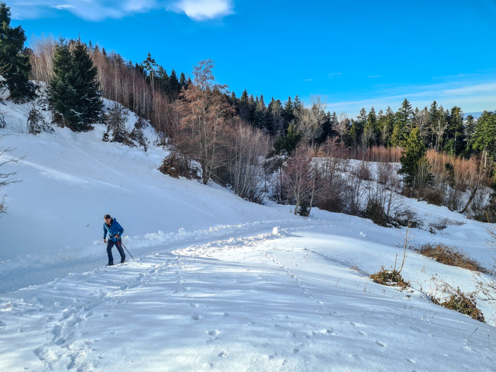 Auf dem Weg zur Tregleralm