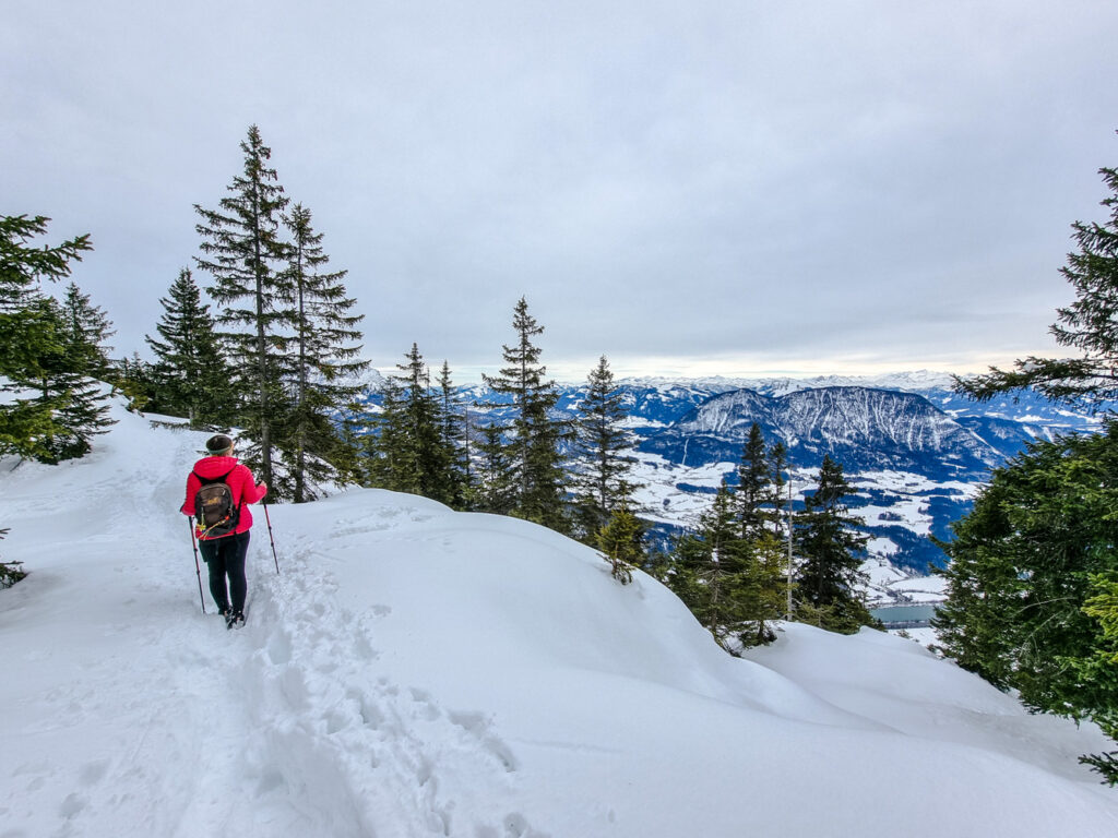 Weiterweg zum besseren Gipfel