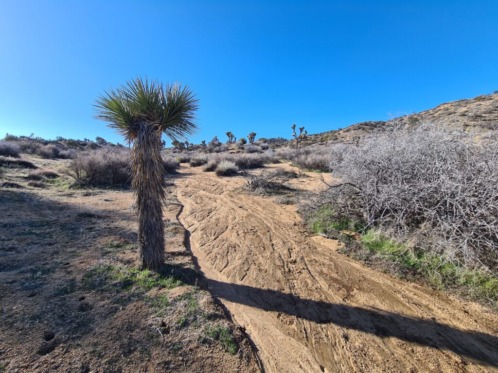 California Riding and Hiking Trail