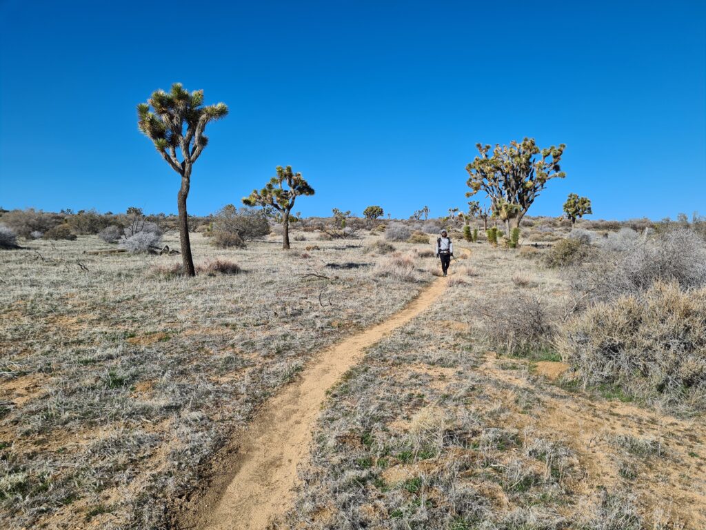 California Riding and Hiking Trail