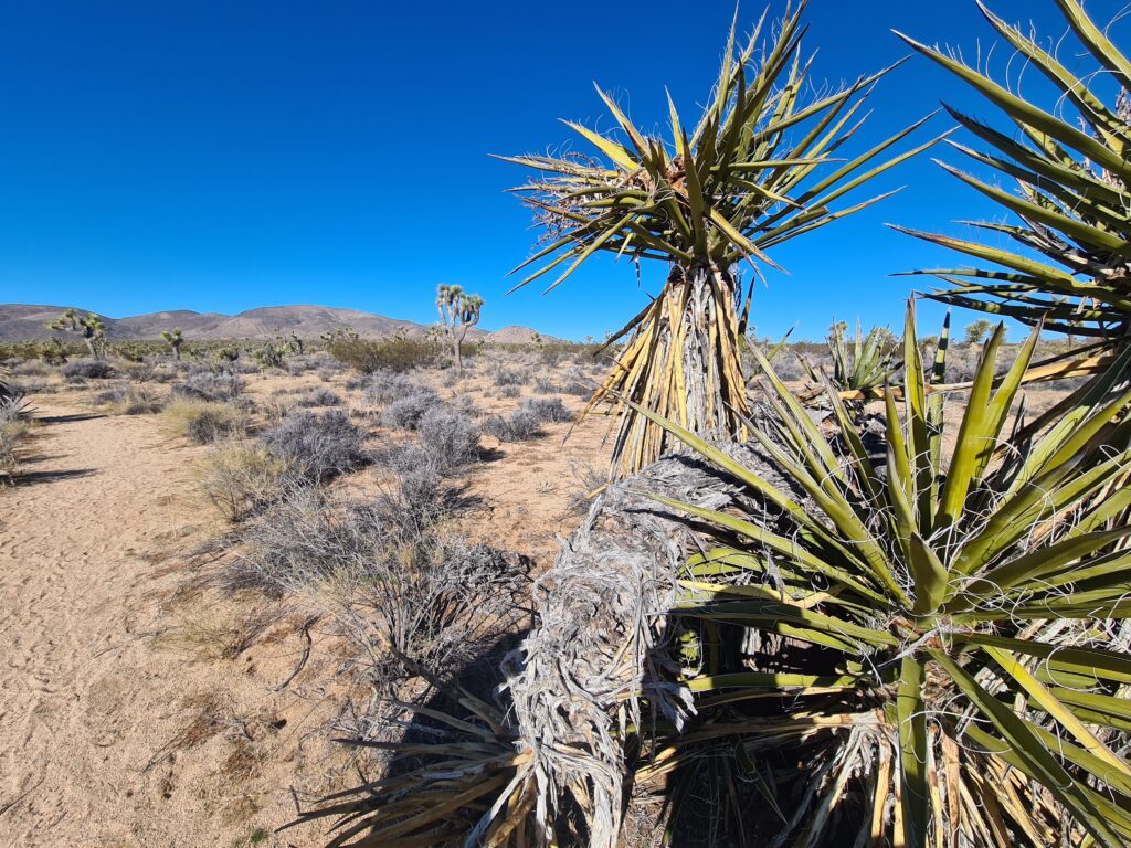 California Riding and Hiking Trail