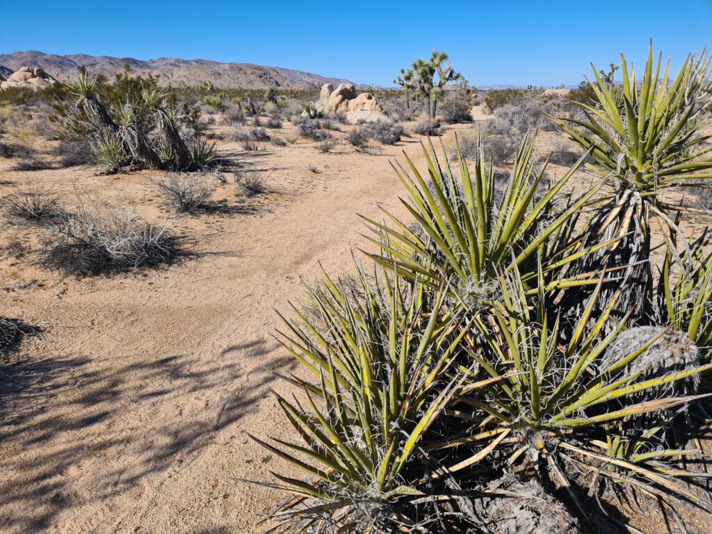 California Riding and Hiking Trail
