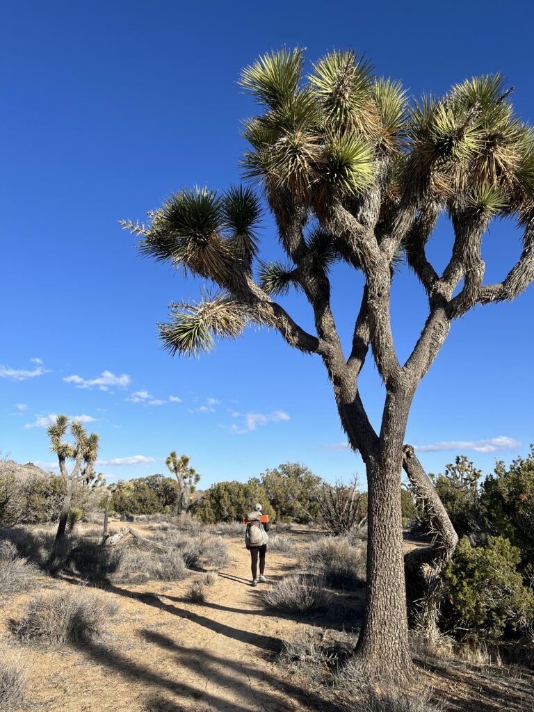 California Riding and Hiking Trail