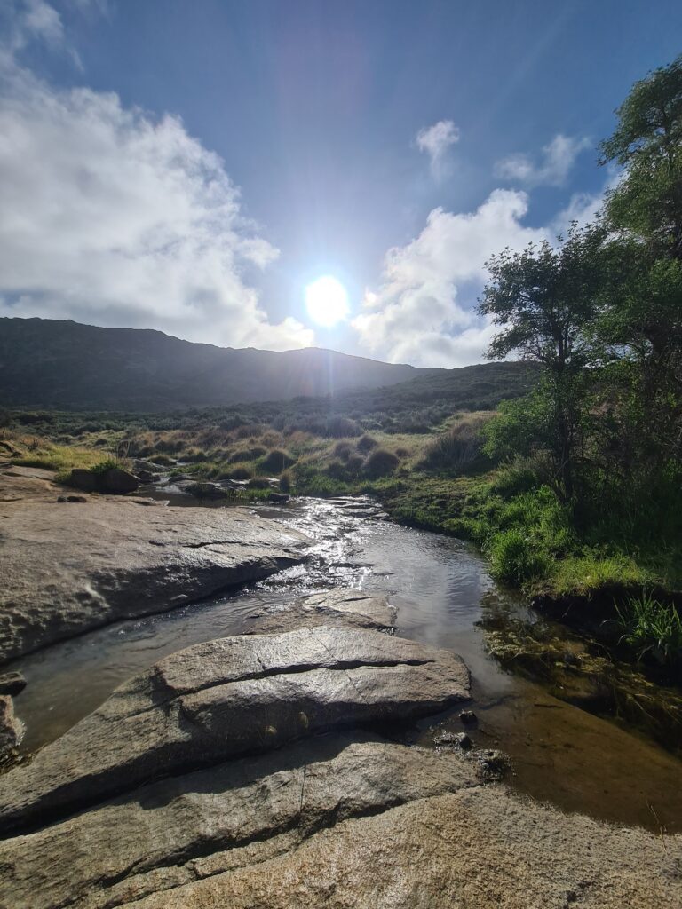 Morgens an der Kitchen Creek