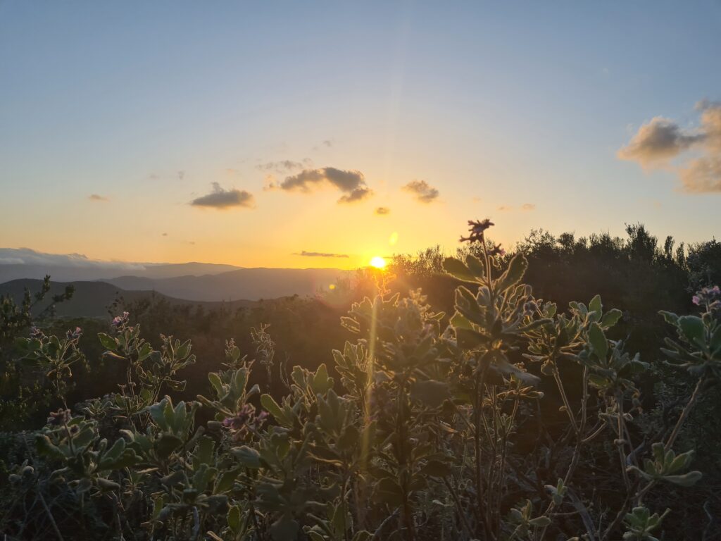 Sonnenuntergang