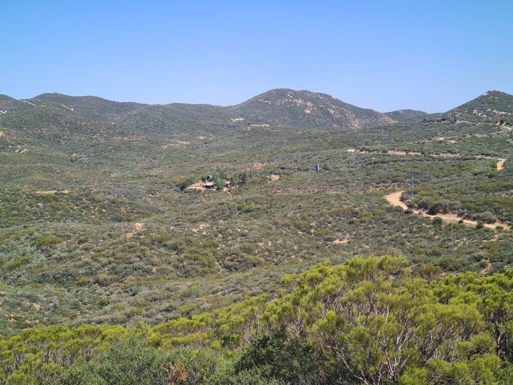Blick zurück auf Mikes Place