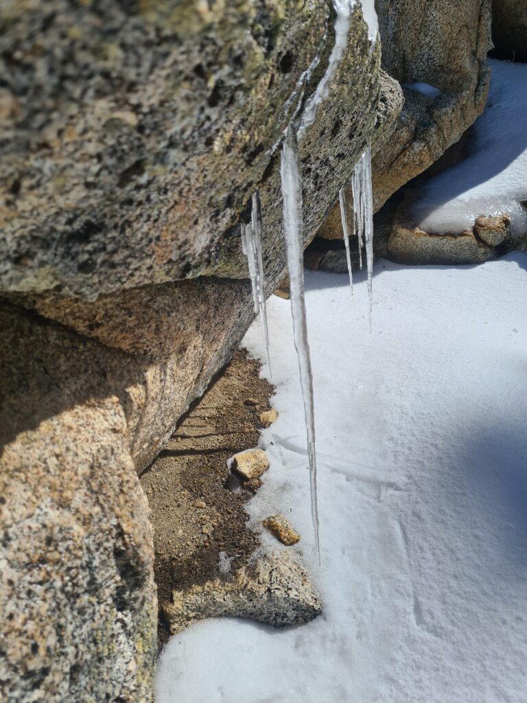 Eiszapfen am Wegesrand