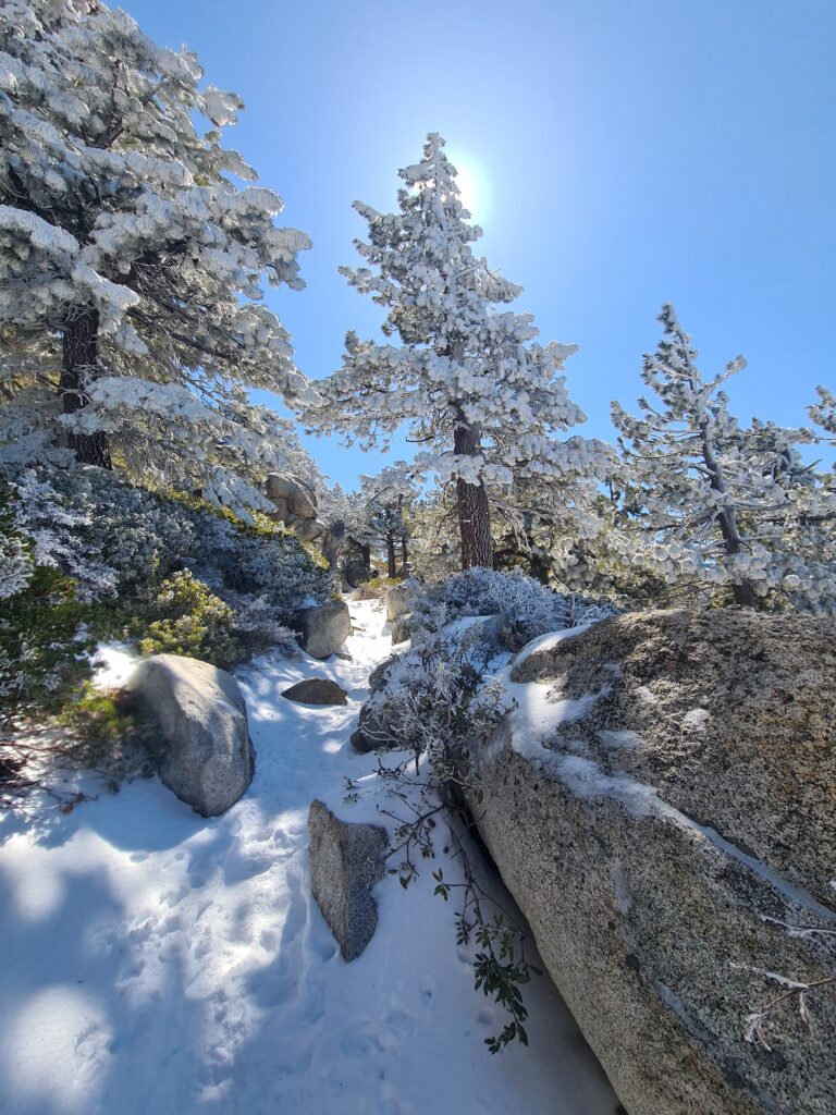 Aufstieg zum San Jacinto Peak