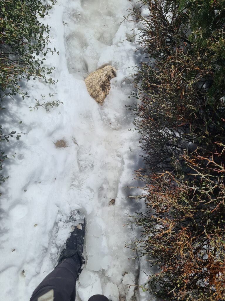 Sulziger Schnee beim Abstieg