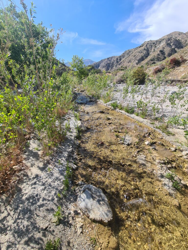 Oase an der Mission Creek