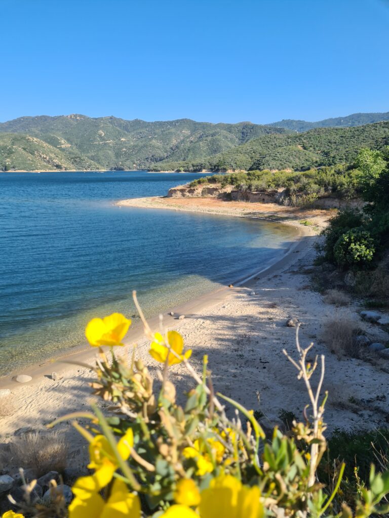Silverwood Lake