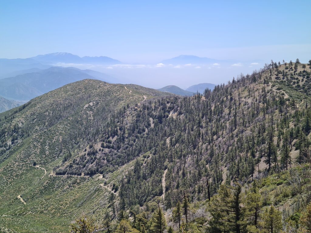 Auf dem Weg nach Wrightwood