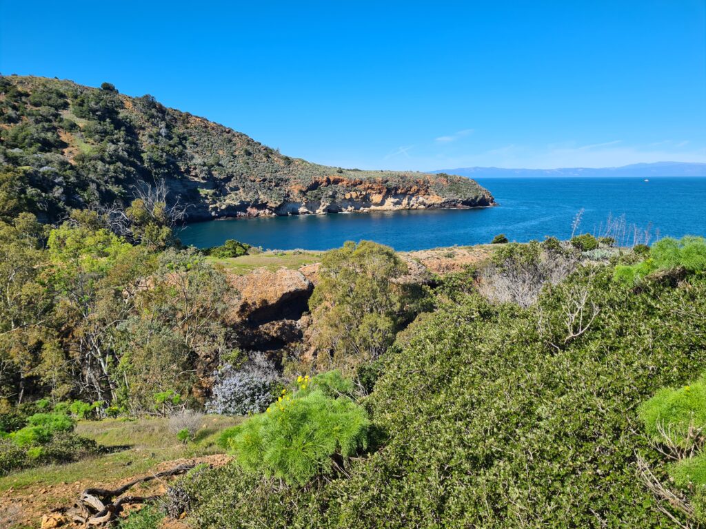 Pelican Bay