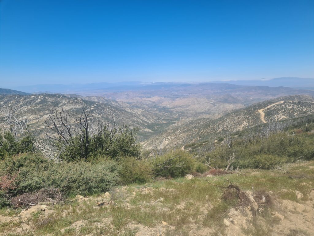 PCT Tag 25