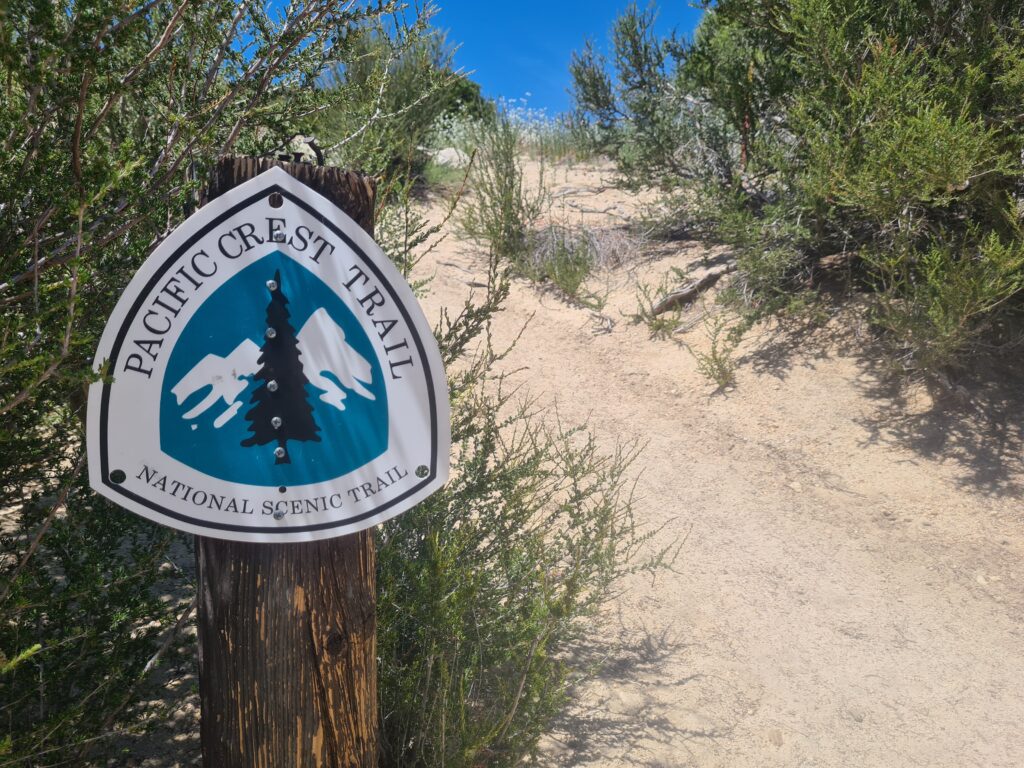 PCT Tag 25