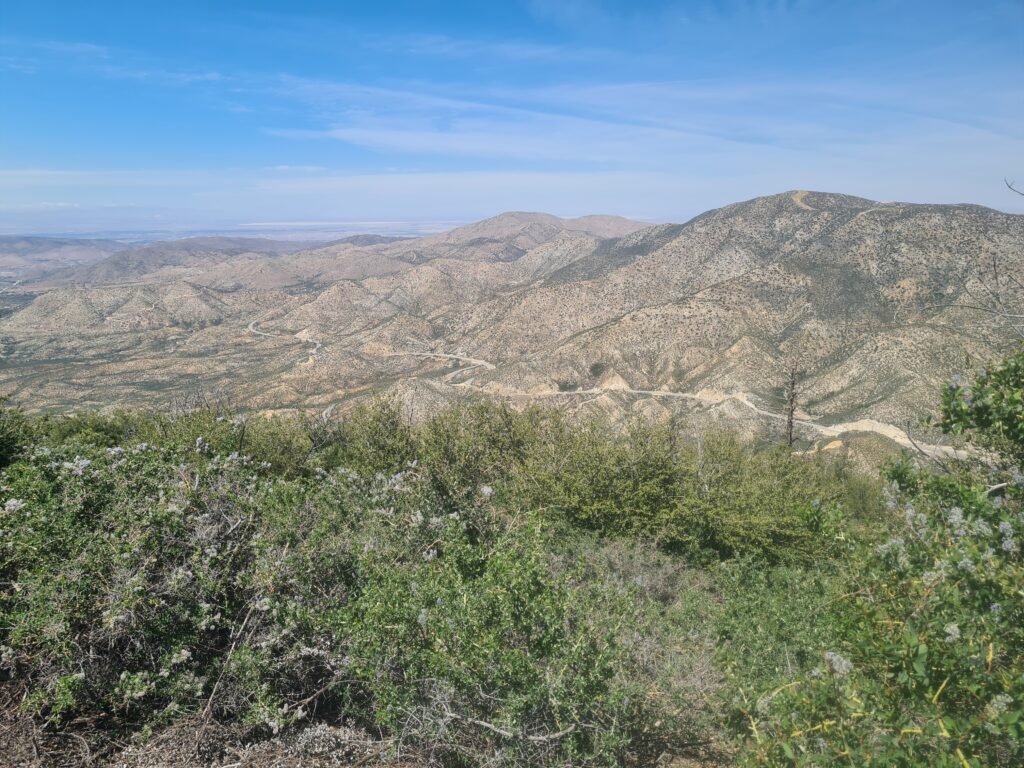 PCT Tag 25