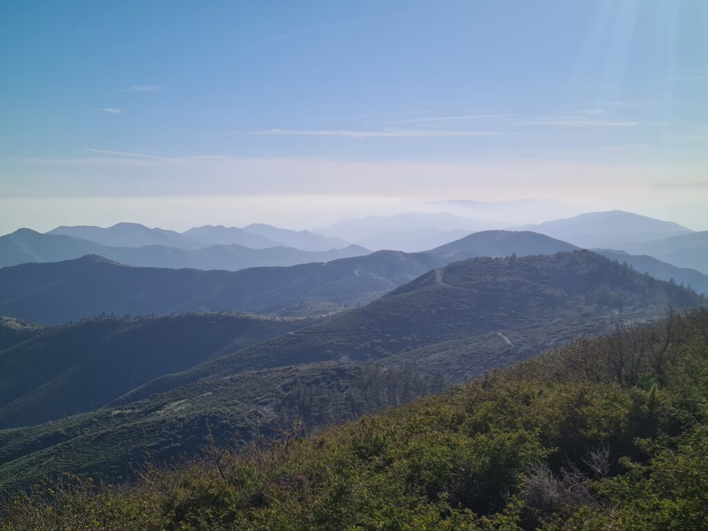 PCT Tag 25