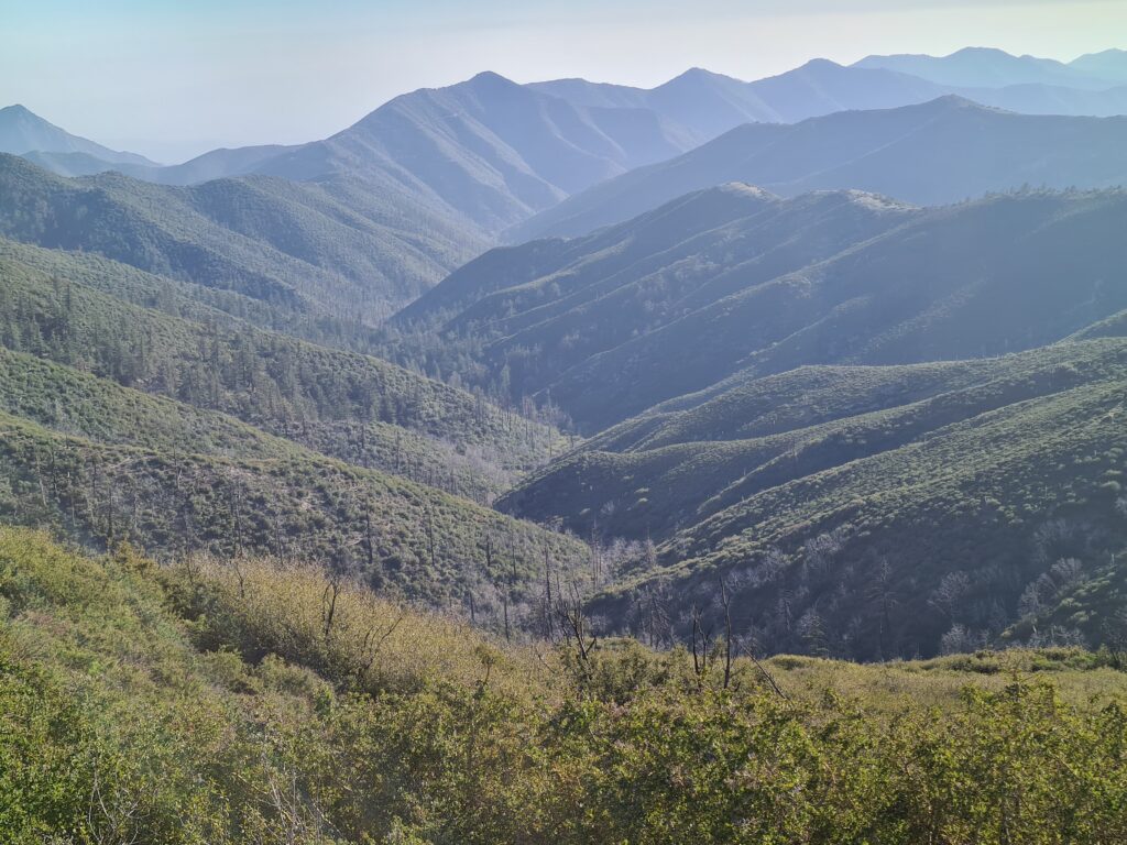 PCT Tag 25