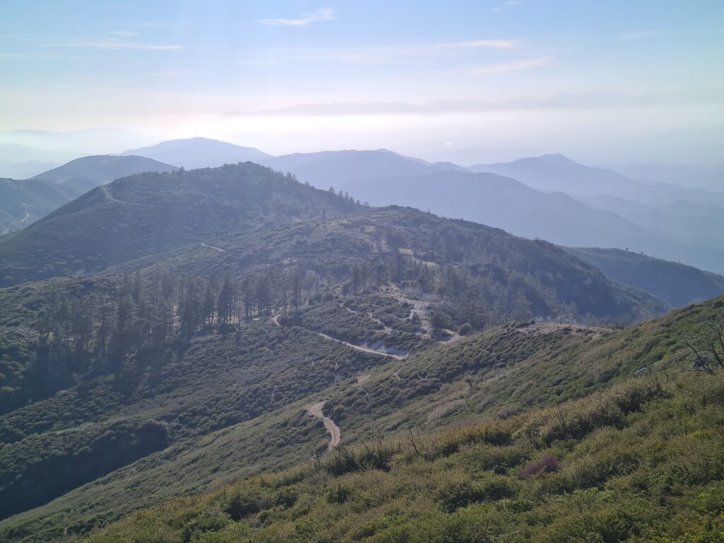 PCT Tag 25