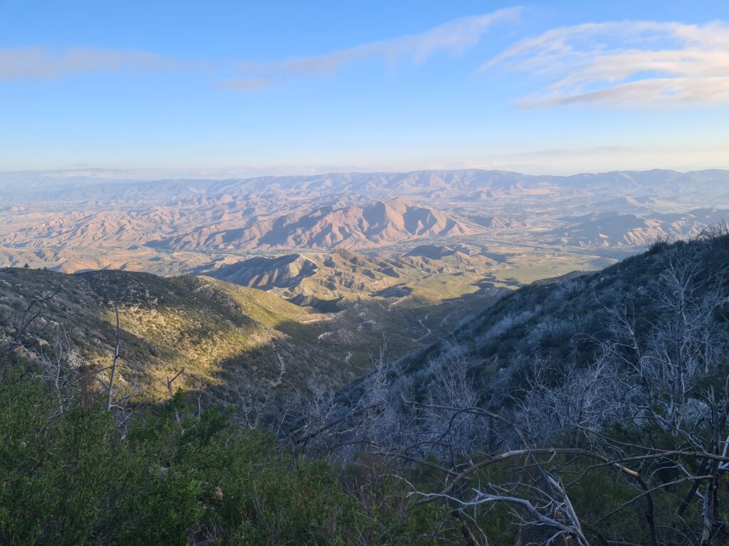 PCT Tag 26