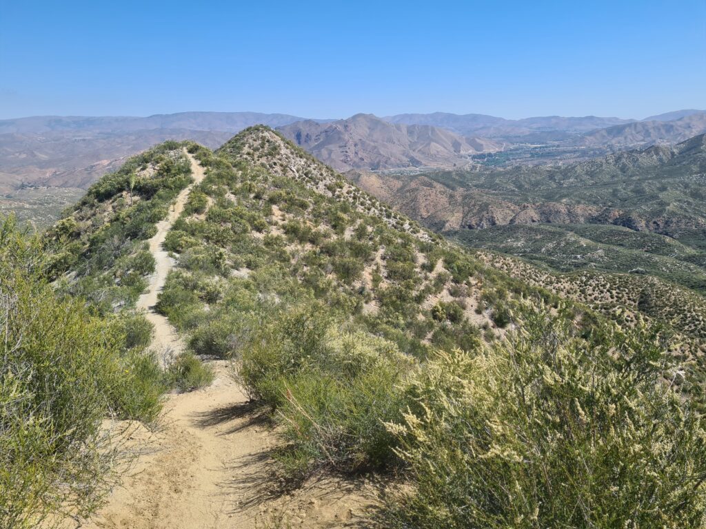 PCT Tag 26